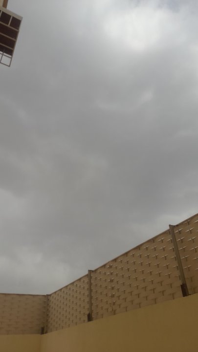 مشاركاتي في أنت الراصد