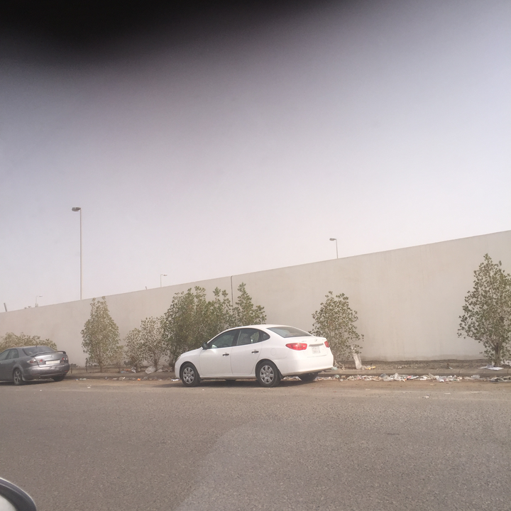 مشاركاتي في أنت الراصد