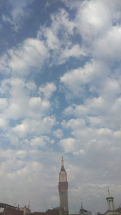 مشاركاتي في أنت الراصد