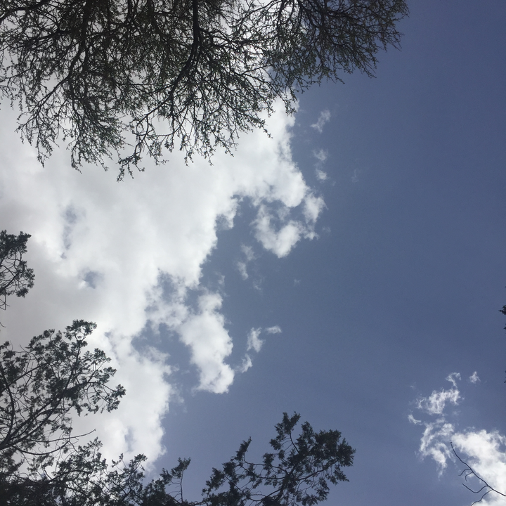 مشاركاتي في أنت الراصد