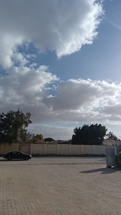 مشاركاتي في أنت الراصد