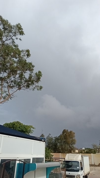 مشاركاتي في أنت الراصد