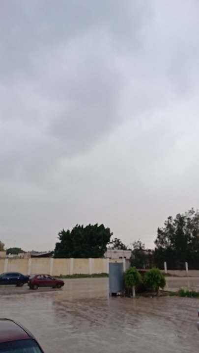 مشاركاتي في أنت الراصد