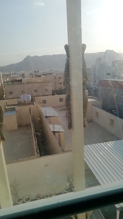 My Crowdsourcing Posts