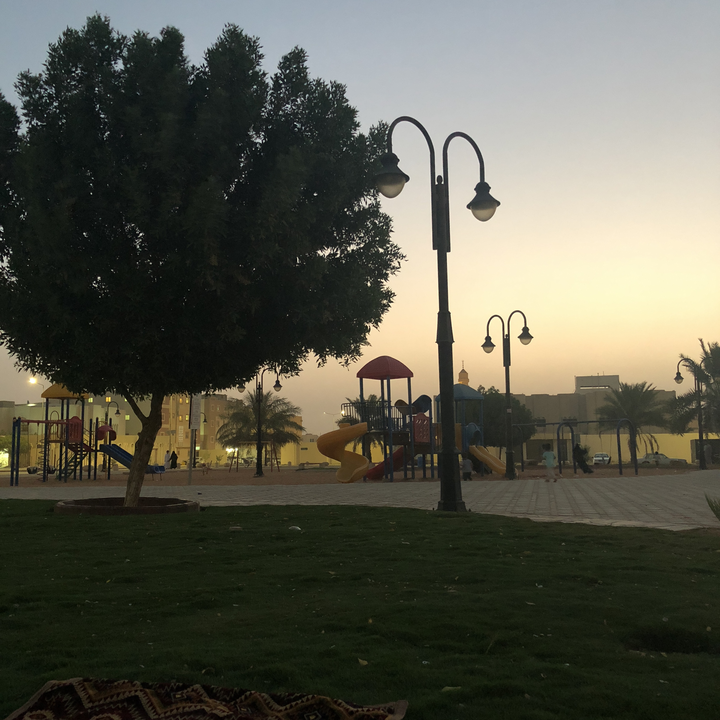 مشاركاتي في أنت الراصد