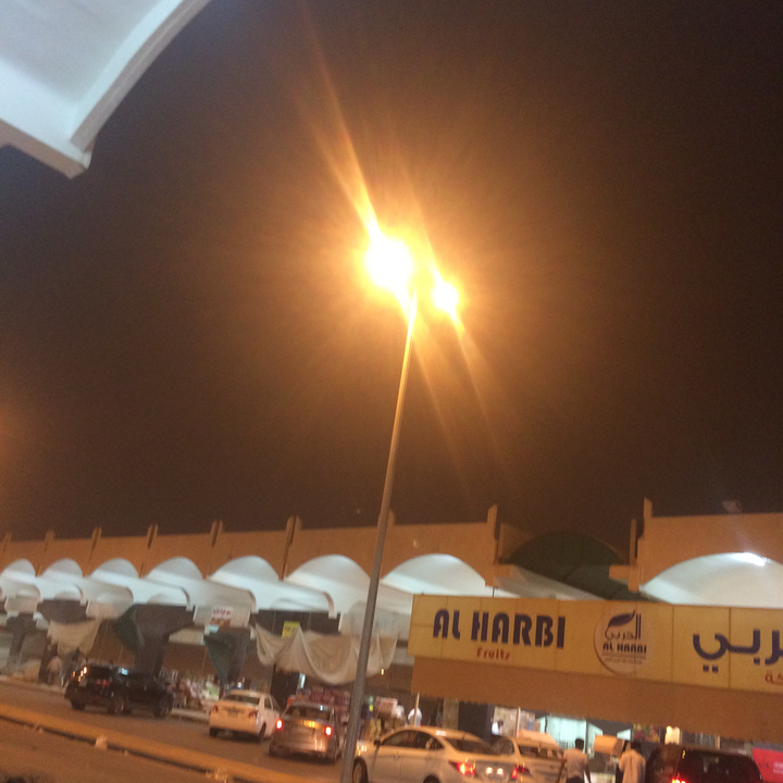 مشاركاتي في أنت الراصد