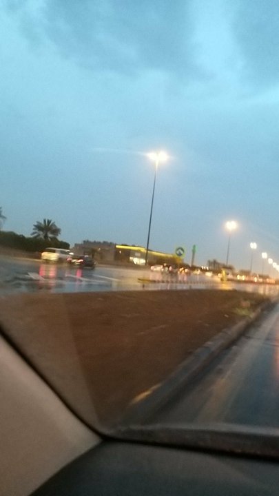 مشاركاتي في أنت الراصد