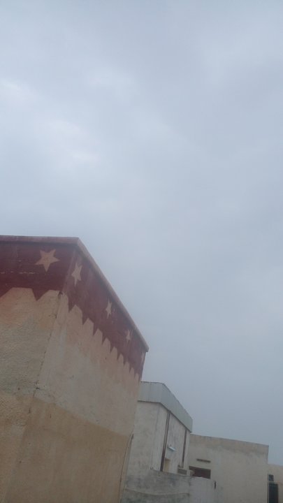 مشاركاتي في أنت الراصد