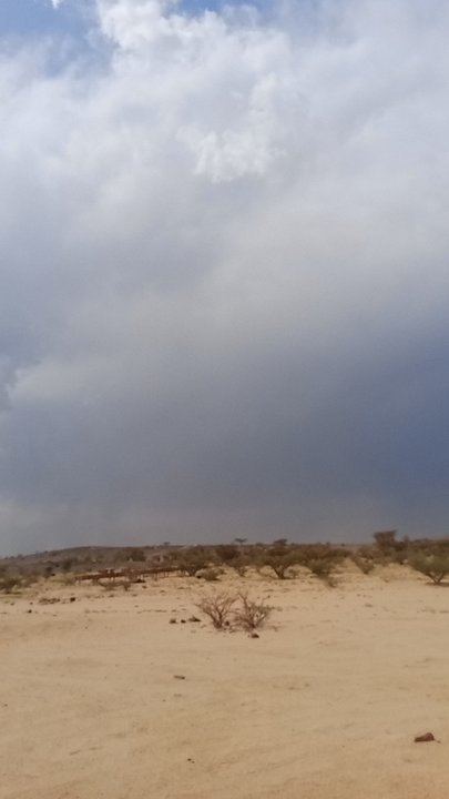 Mes publications Crowdsourcing