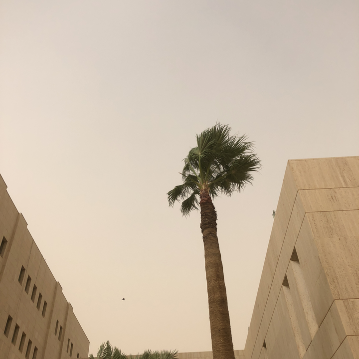 مشاركاتي في أنت الراصد