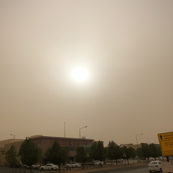 مشاركاتي في أنت الراصد