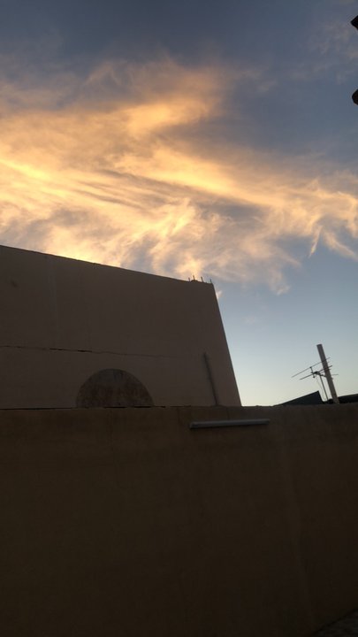 مشاركاتي في أنت الراصد