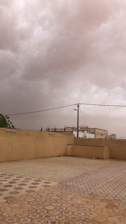 مشاركاتي في أنت الراصد