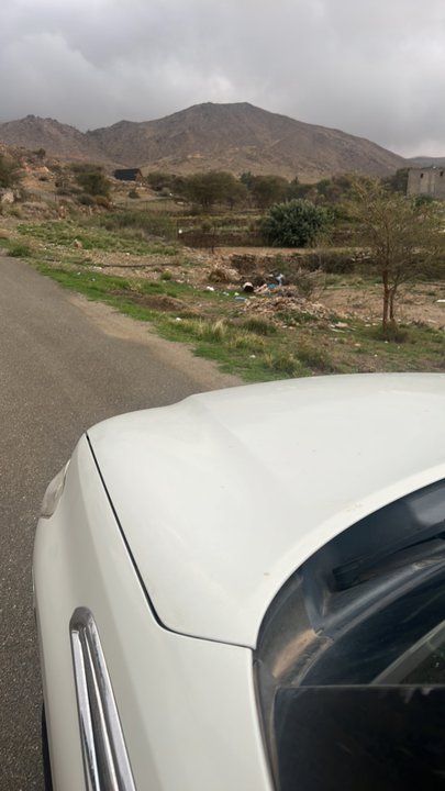 مشاركاتي في أنت الراصد