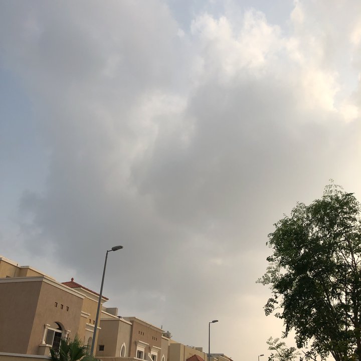 مشاركاتي في أنت الراصد