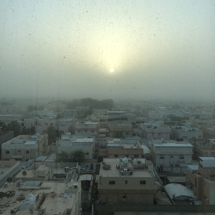 مشاركاتي في أنت الراصد