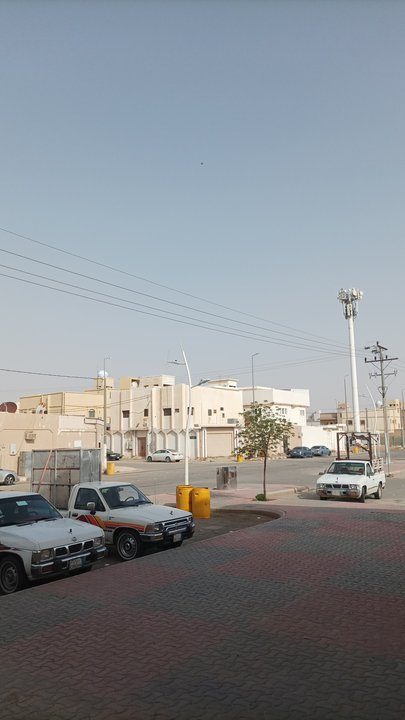 مشاركاتي في أنت الراصد