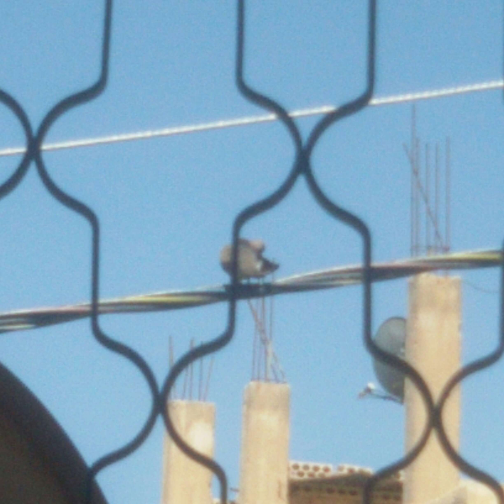 My Crowdsourcing Posts