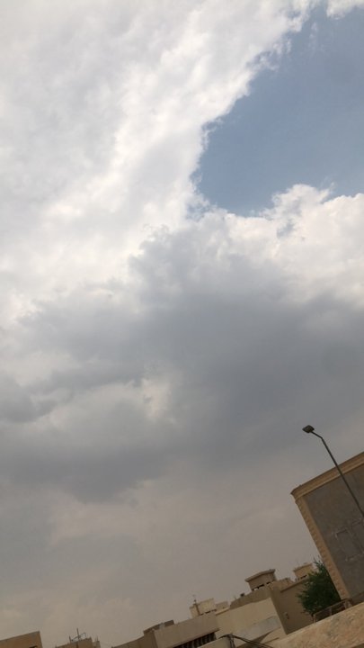 مشاركاتي في أنت الراصد