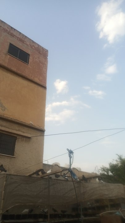 مشاركاتي في أنت الراصد