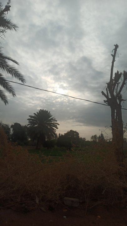 My Crowdsourcing Posts