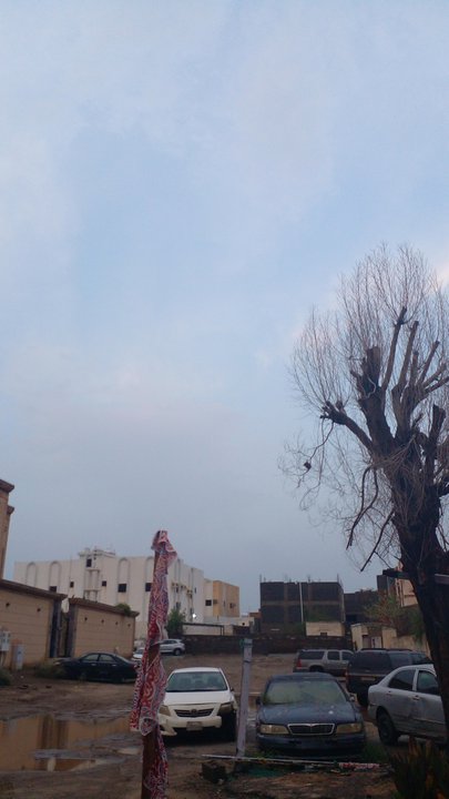 مشاركاتي في أنت الراصد