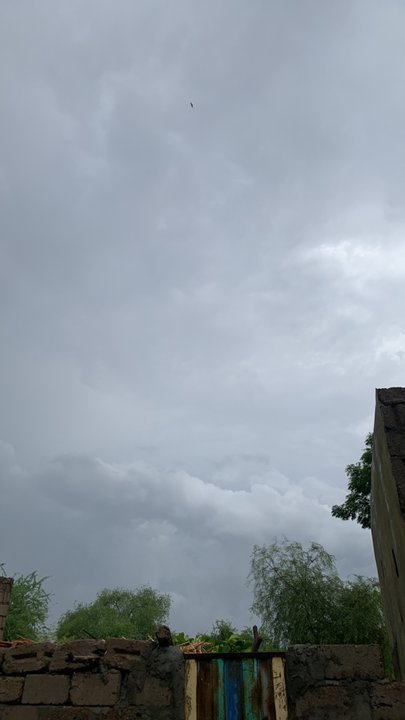 مشاركاتي في أنت الراصد