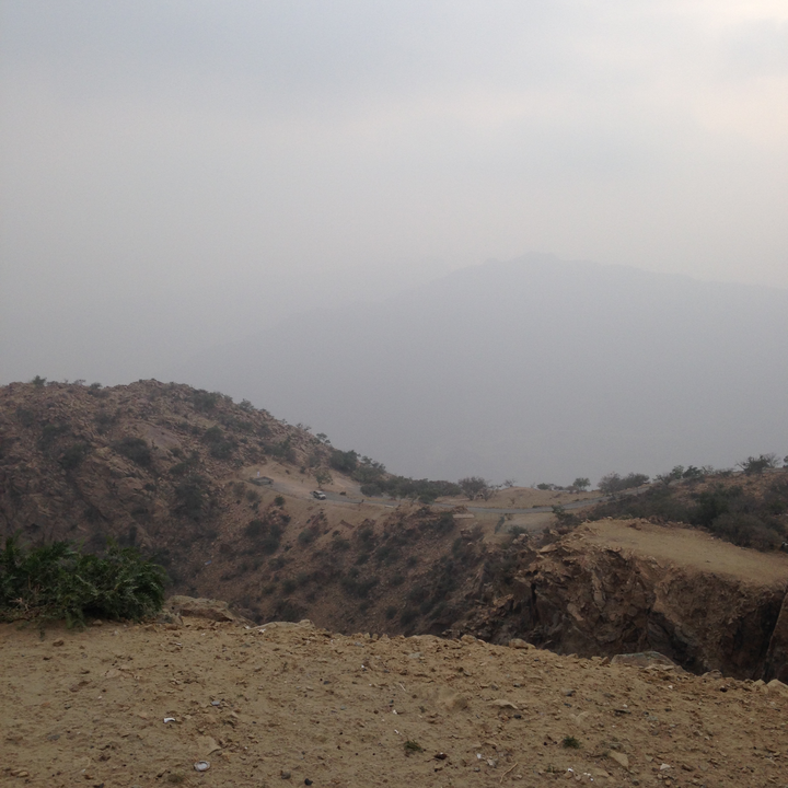 مشاركاتي في أنت الراصد