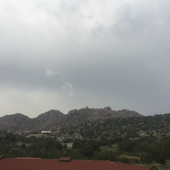 مشاركاتي في أنت الراصد