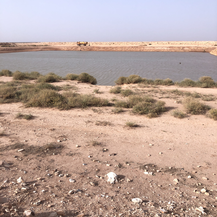 My Crowdsourcing Posts