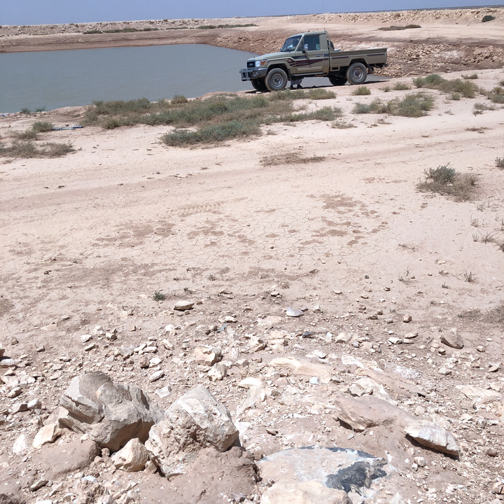 My Crowdsourcing Posts