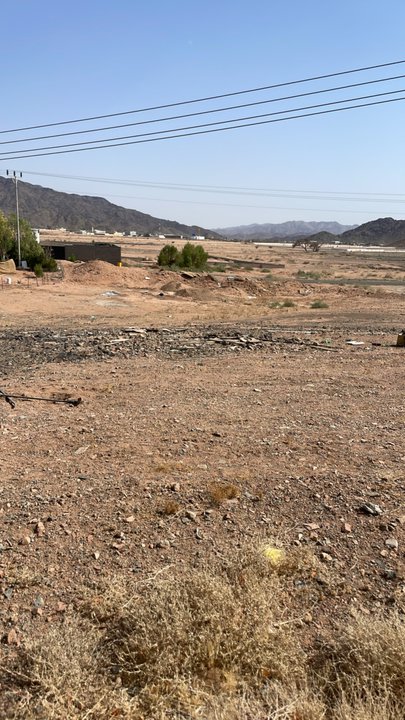 Mes publications Crowdsourcing