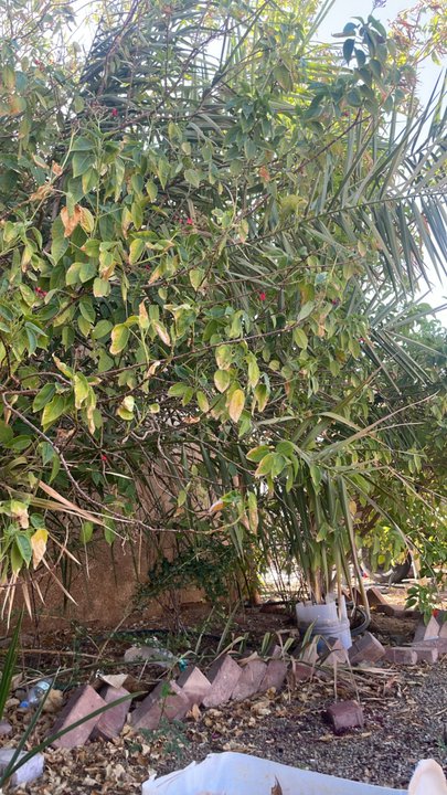 My Crowdsourcing Posts