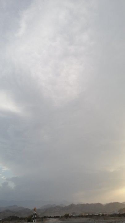 Mes publications Crowdsourcing