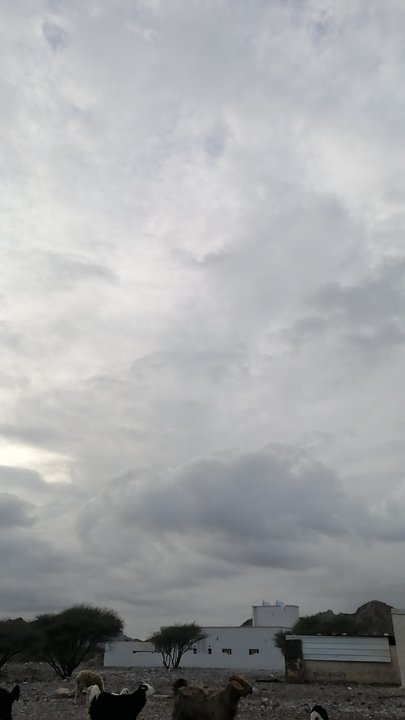 Mes publications Crowdsourcing