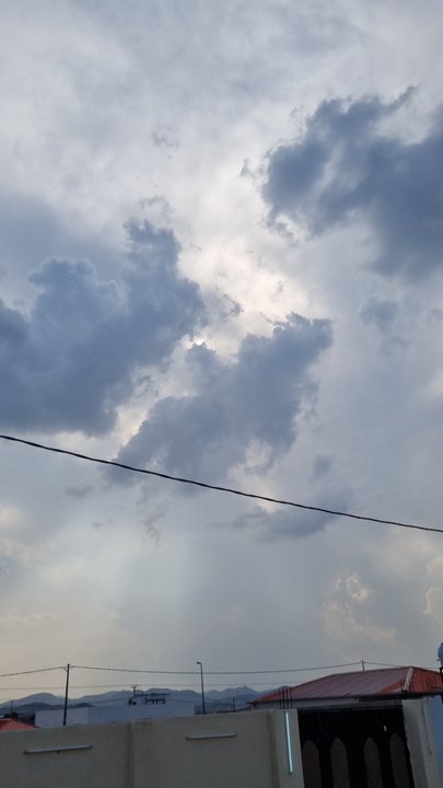 مشاركاتي في أنت الراصد