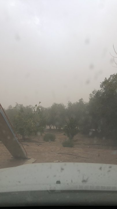 مشاركاتي في أنت الراصد