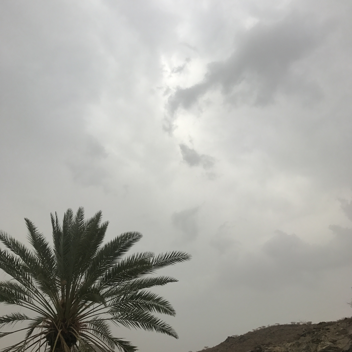 مشاركاتي في أنت الراصد