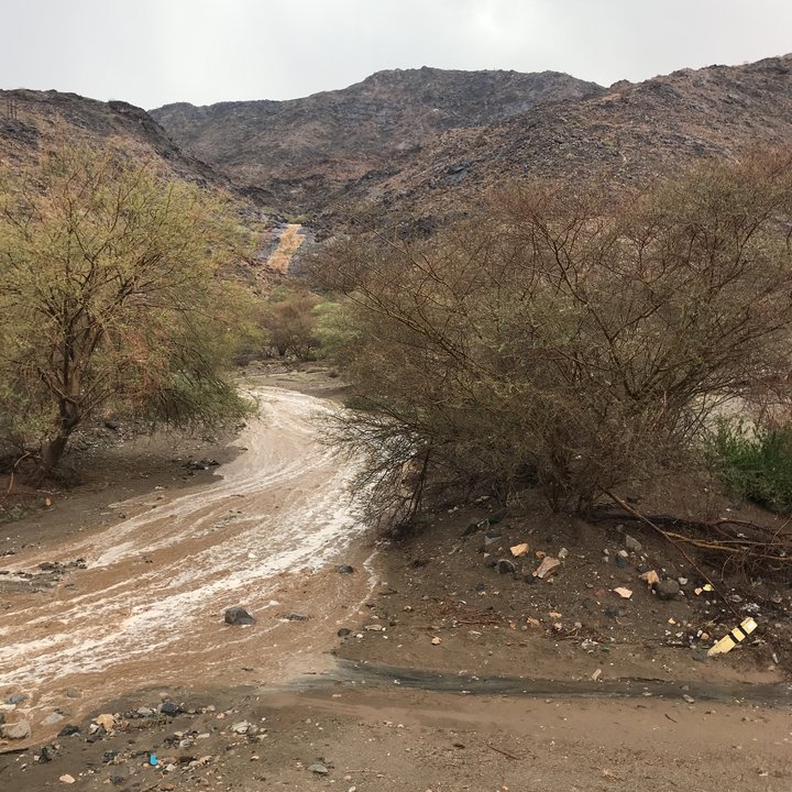 My Crowdsourcing Posts