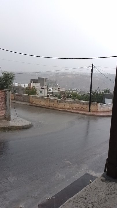 مشاركاتي في أنت الراصد