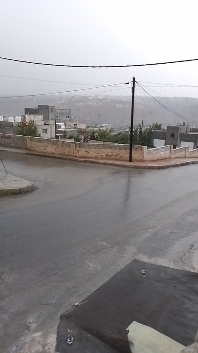 مشاركاتي في أنت الراصد