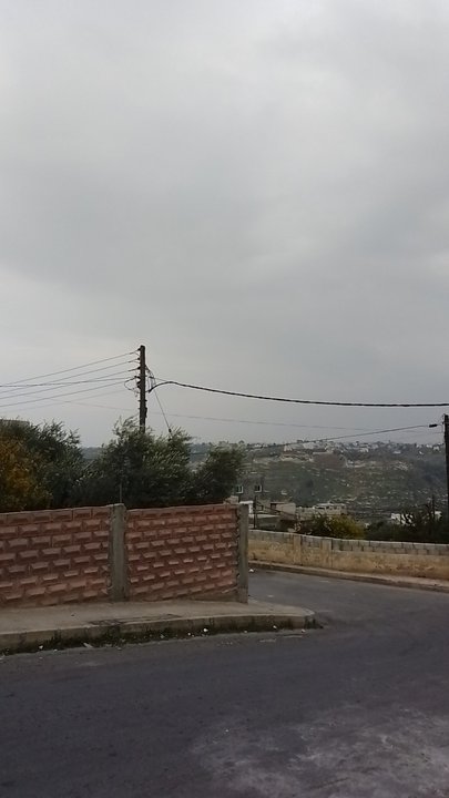 مشاركاتي في أنت الراصد