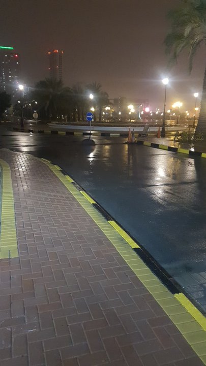 مشاركاتي في أنت الراصد