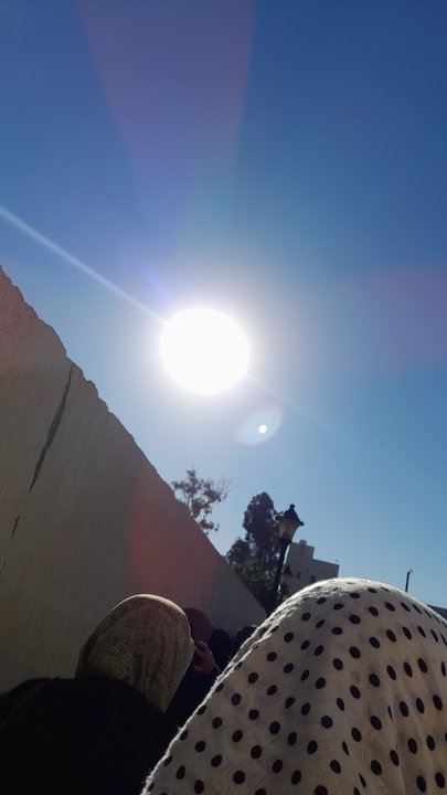 مشاركاتي في أنت الراصد