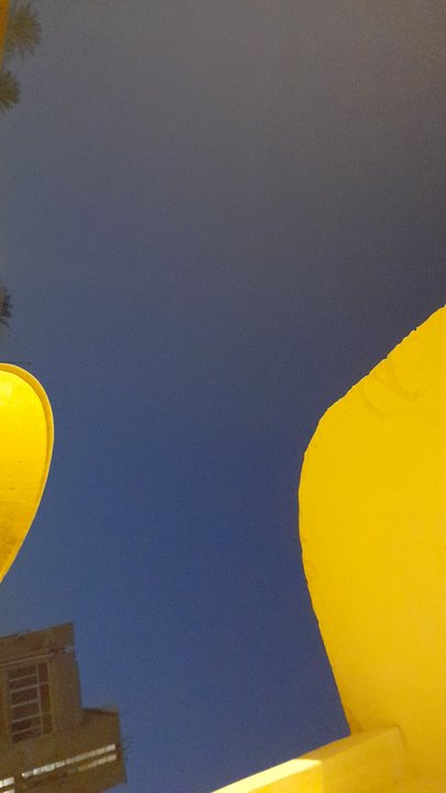 مشاركاتي في أنت الراصد