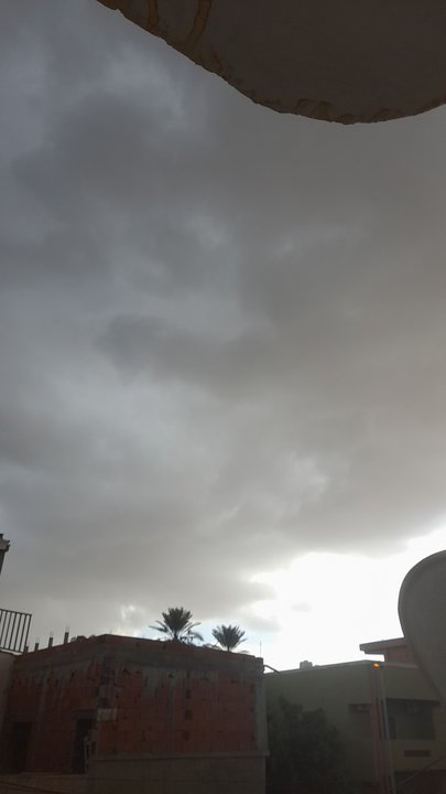 مشاركاتي في أنت الراصد