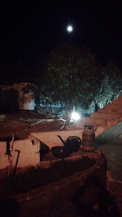 مشاركاتي في أنت الراصد