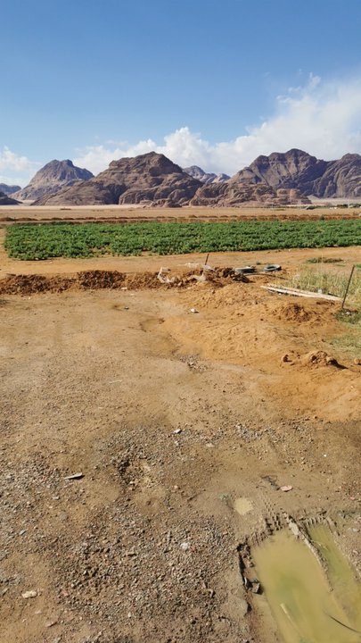 مشاركاتي في أنت الراصد