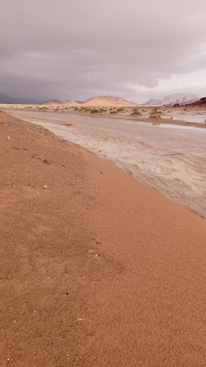 مشاركاتي في أنت الراصد