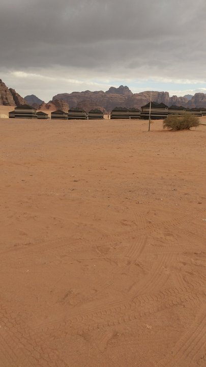 مشاركاتي في أنت الراصد